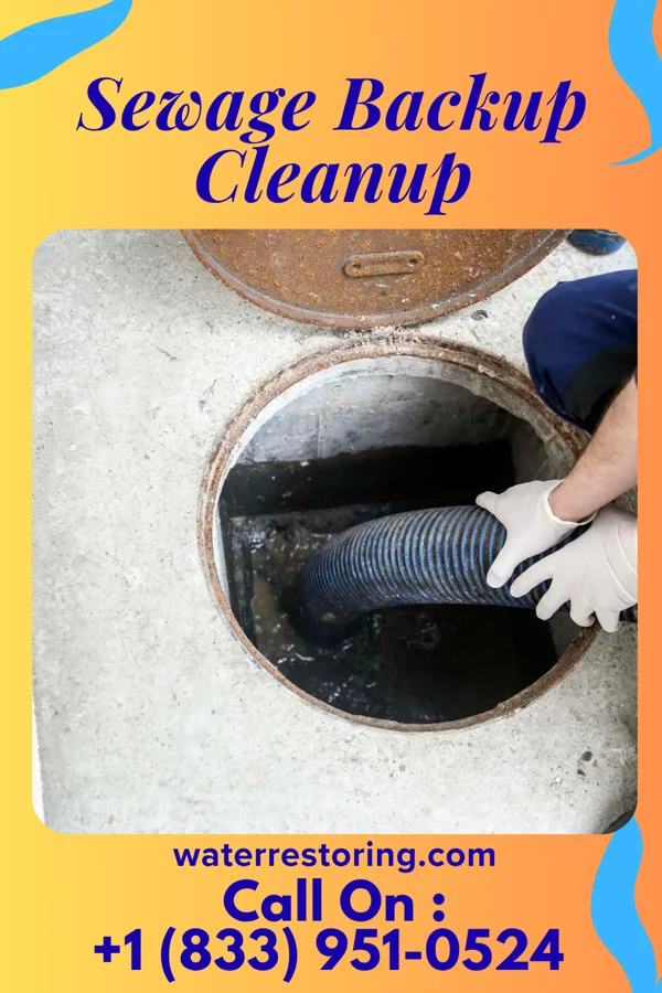 Sewage Backup Cleanup in Bessemer City, NC