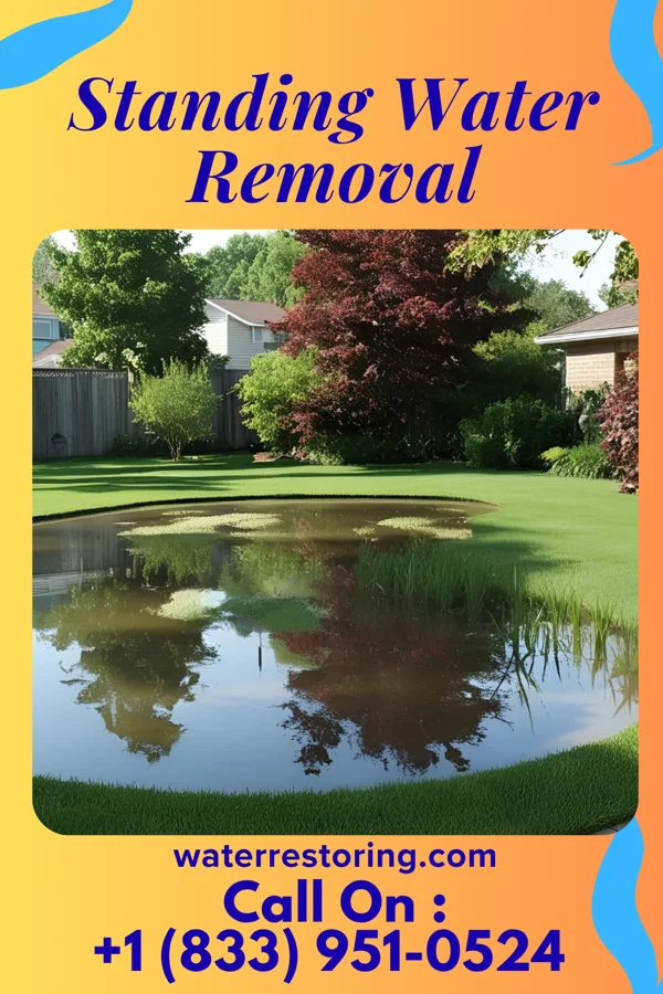 Standing Water Removal in Bessemer City, NC